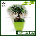 decorative plant square pots outdoor